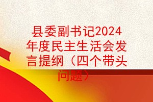 县委副书记2024年度民主生活会发言提纲（四个带头问题）