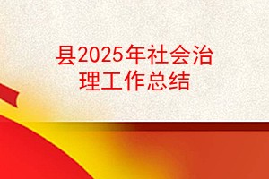 县2025年社会治理工作总结