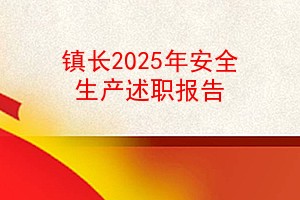 镇长2025年安全生产述职报告