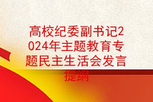 高校纪委副书记2024年主题教育专题民主生活会发言提纲