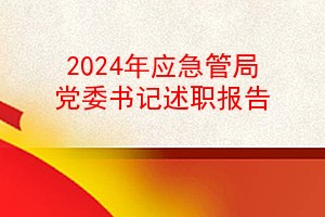 2024年应急管局党委书记述职报告