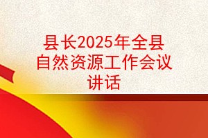 县长2025年全县自然资源工作会议讲话