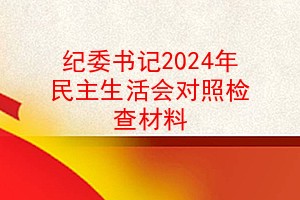 纪委书记2024年民主生活会对照检查材料