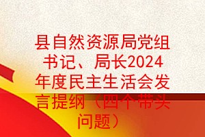 县自然资源局党组书记、局长2024年度民主生活会发言提纲（四个带头问题）