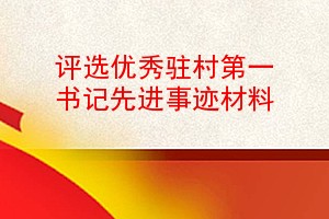 评选优秀驻村第一书记先进事迹材料