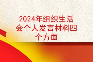 2024年组织生活会个人发言材料四个方面