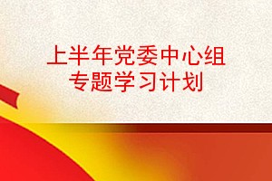 上半年党委中心组专题学习计划