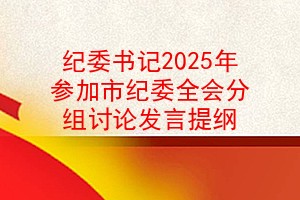 纪委书记2025年参加市纪委全会分组讨论发言提纲