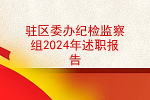 驻区委办纪检监察组2024年述职报告