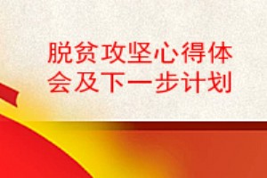 脱贫攻坚心得体会及下一步计划