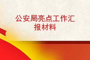 公安局亮点工作汇报材料